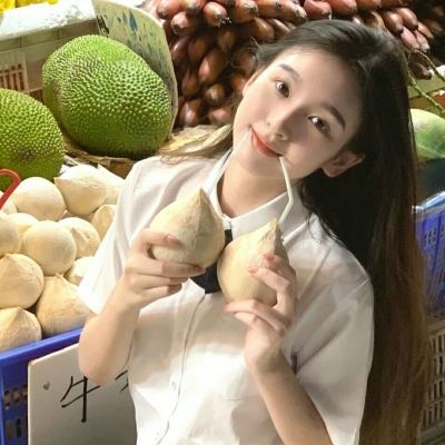 猫之宿约者旧版本下载